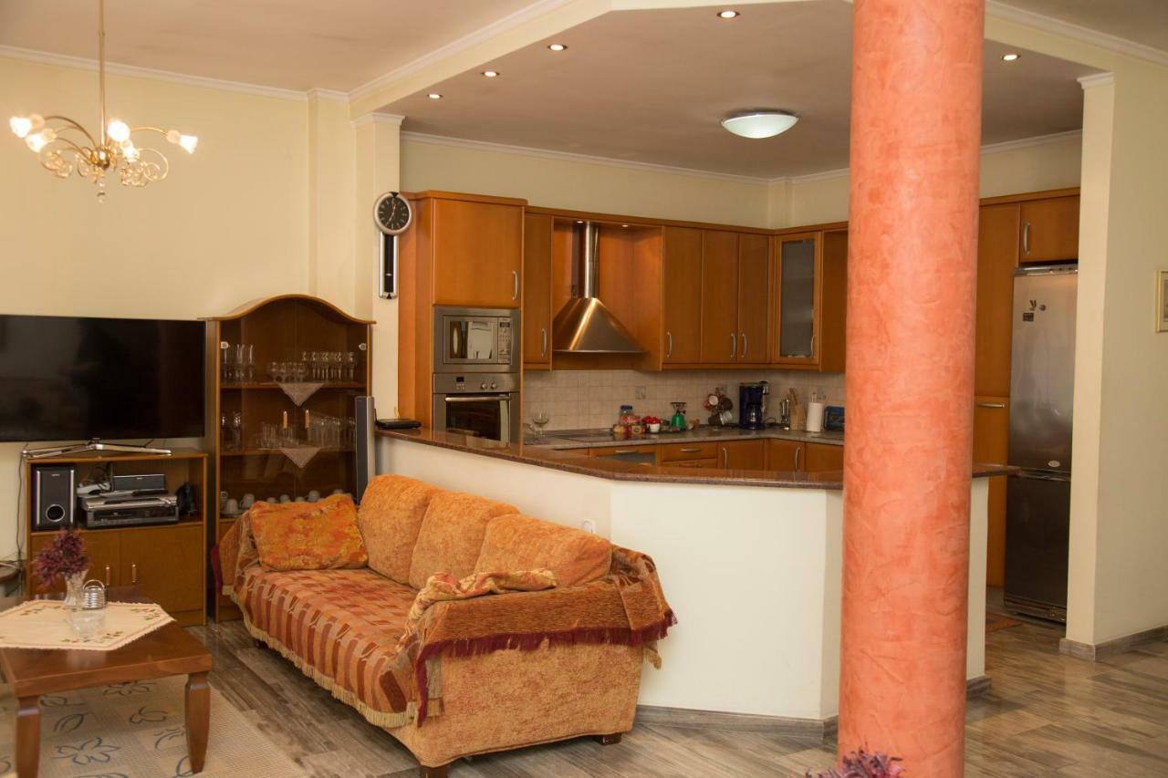 Veta'S Spacious Central Apartment セレス エクステリア 写真